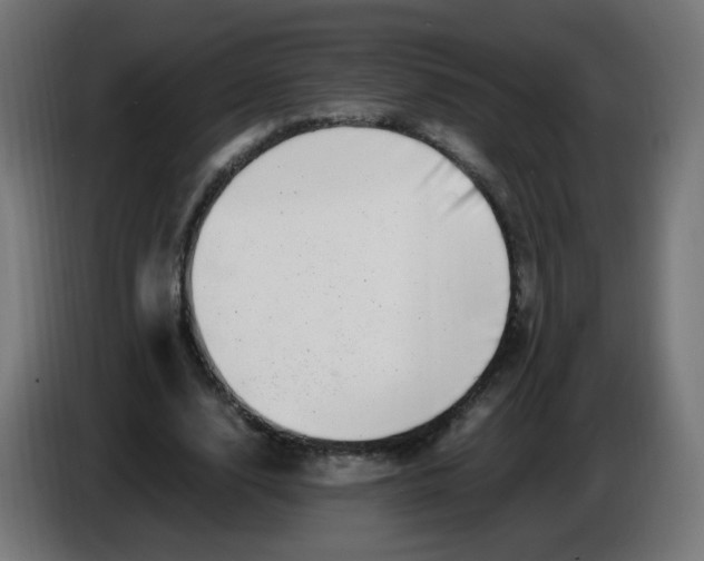 X0000086110632200704132210