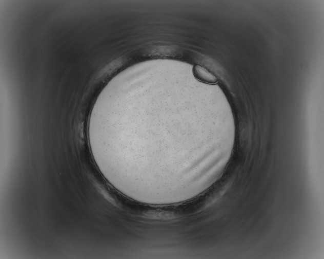 X0000086110633200704132210