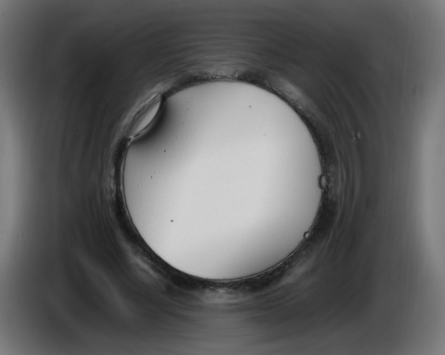 X0000086110634200704132210