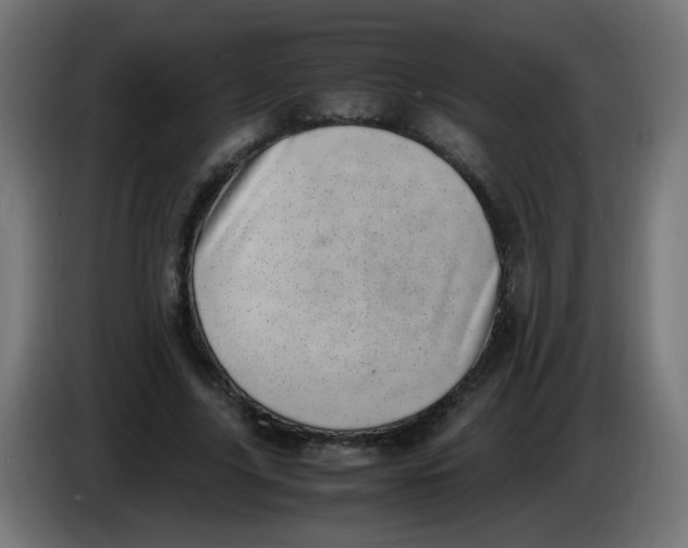 X0000086110635200704132210