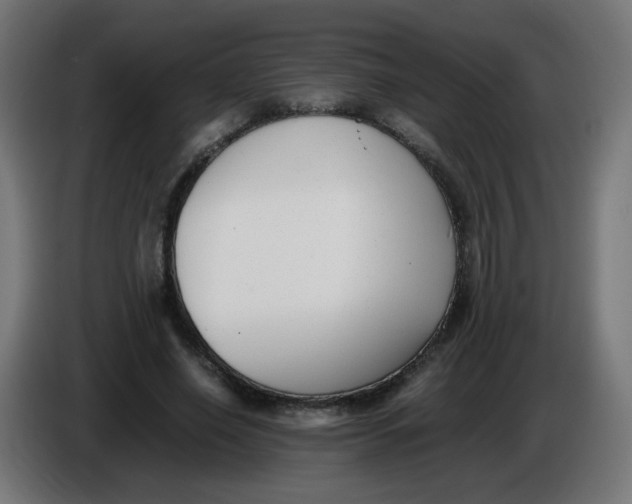 X0000086110638200704132210