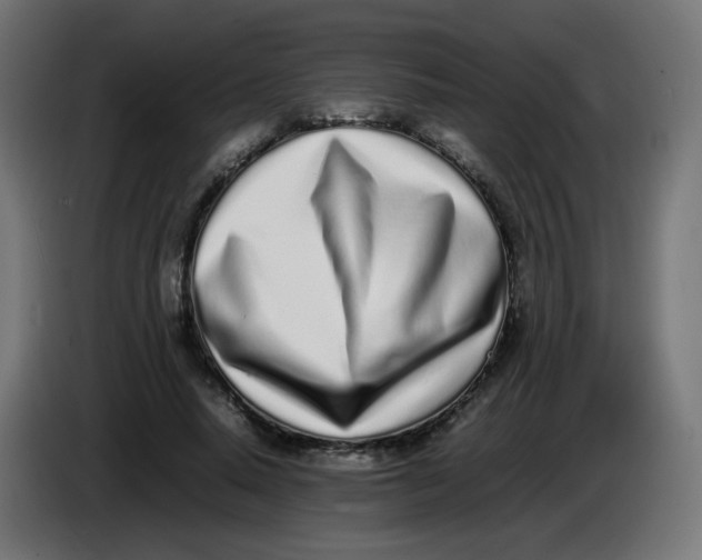 X0000086110640200704132210