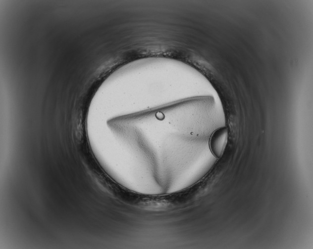 X0000086110642200704132210