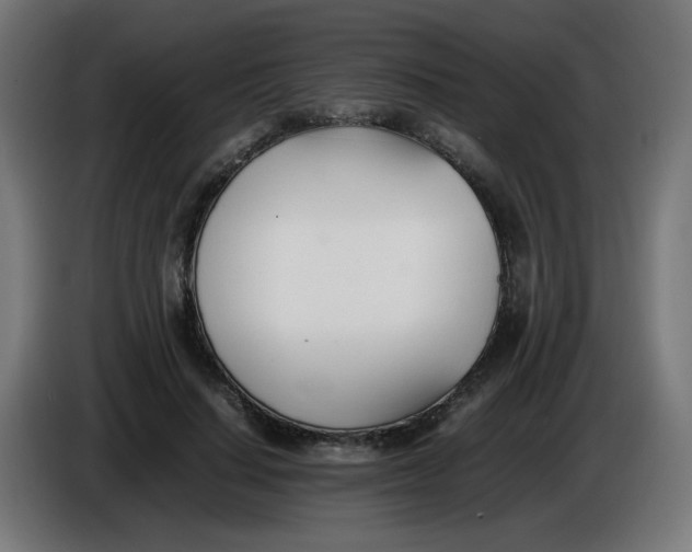 X0000086110644200704132210