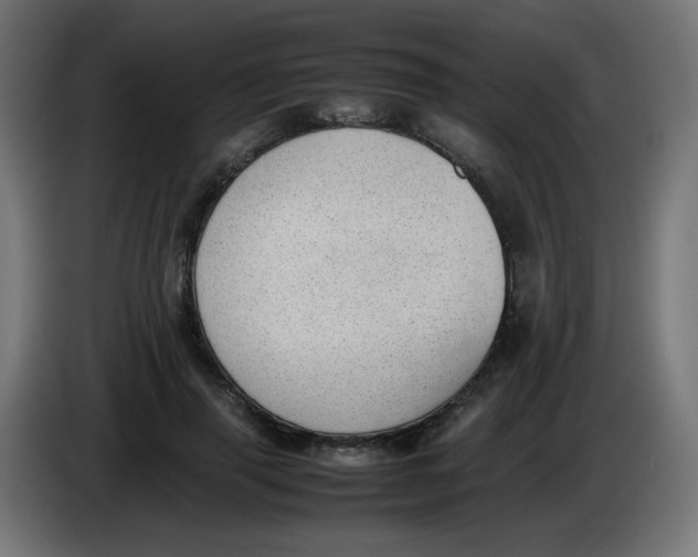 X0000086110645200704132210