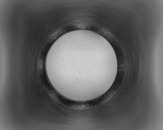 X0000086110646200704132210