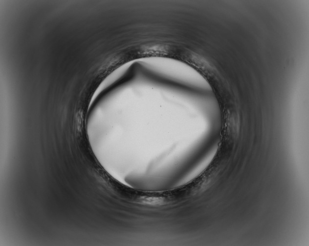 X0000086110649200704132210