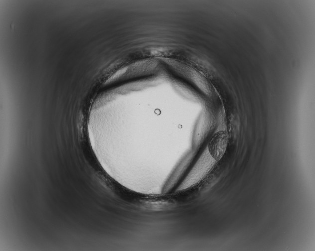 X0000086110650200704132210