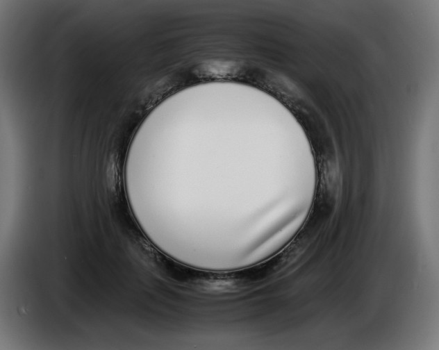 X0000086110651200704132210