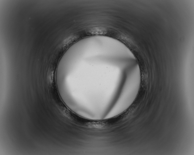 X0000086110652200704132210