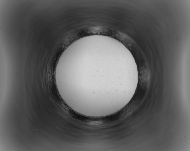 X0000086110653200704132210