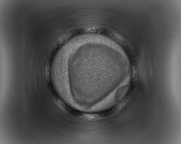 X0000086110654200704132210