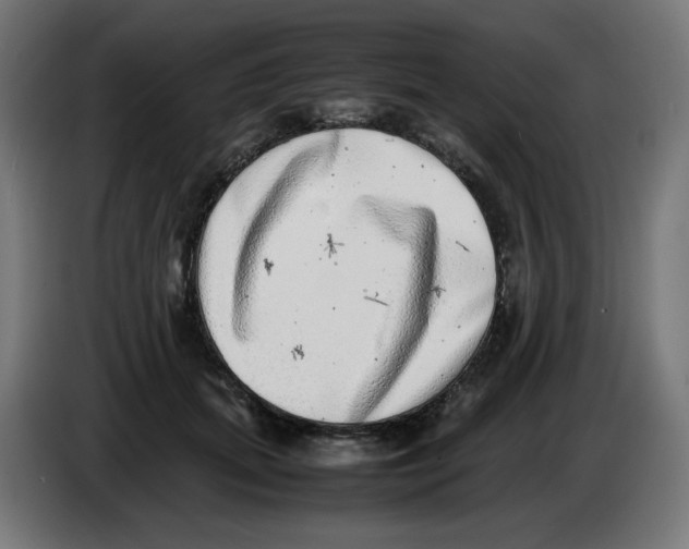 X0000086110655200704132210