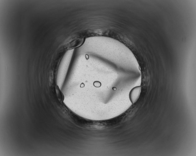 X0000086110656200704132210