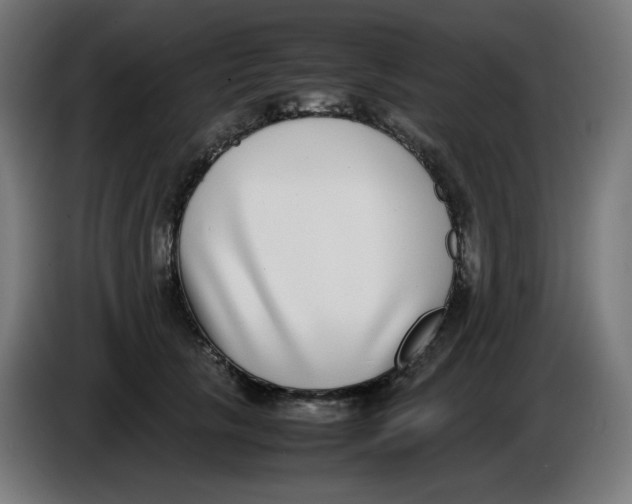 X0000086110657200704132210