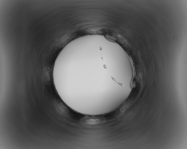 X0000086110658200704132210