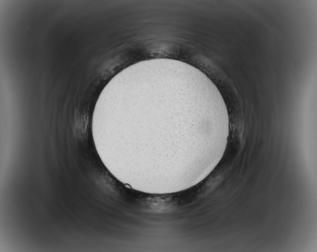 X0000086110660200704132210