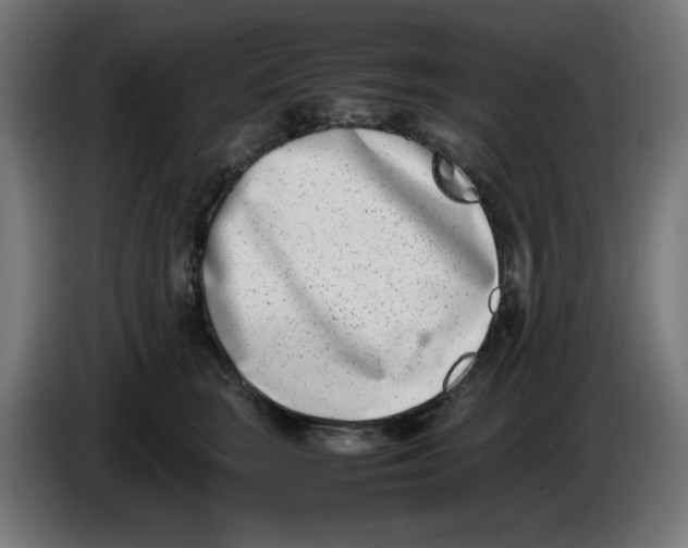 X0000086110663200704132210