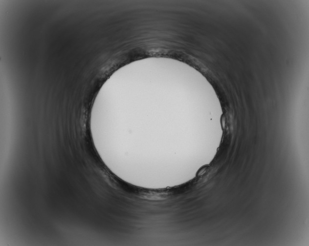 X0000086110664200704132210