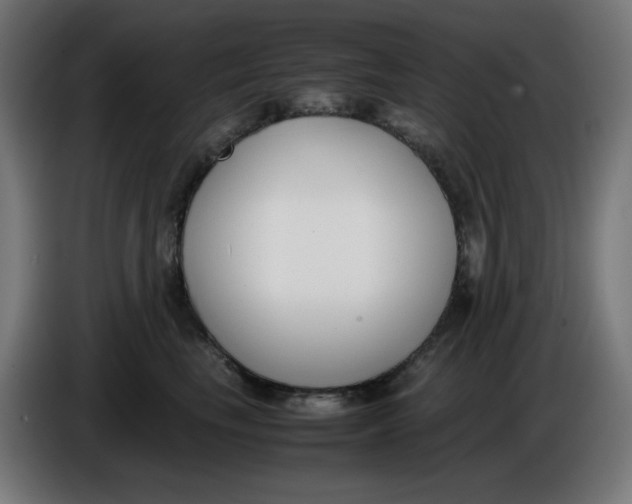 X0000086110665200704132210