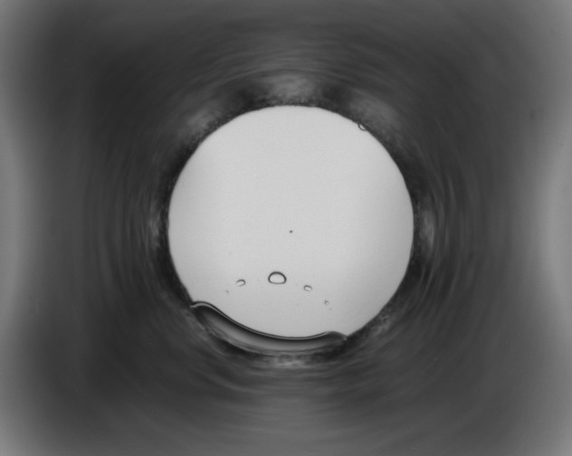 X0000086110668200704132210