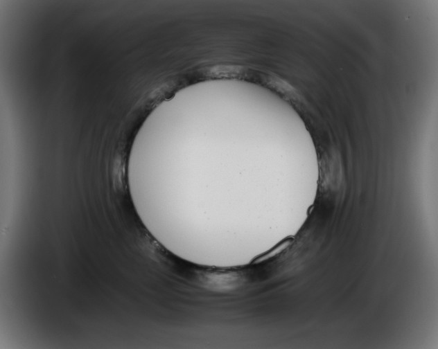 X0000086110669200704132210