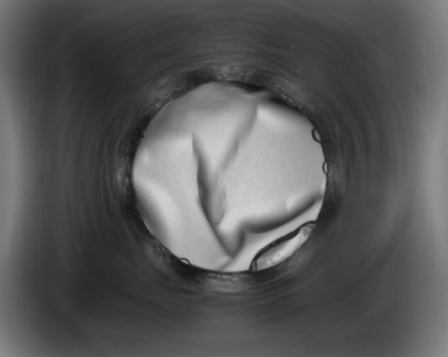 X0000086110671200704132210