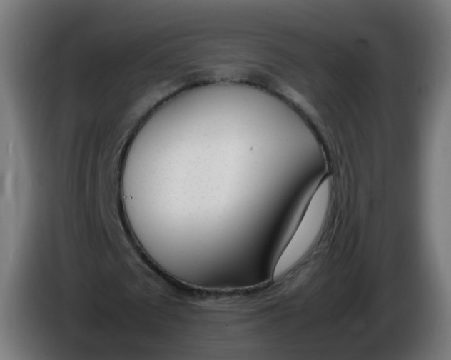 X0000086110673200704132210