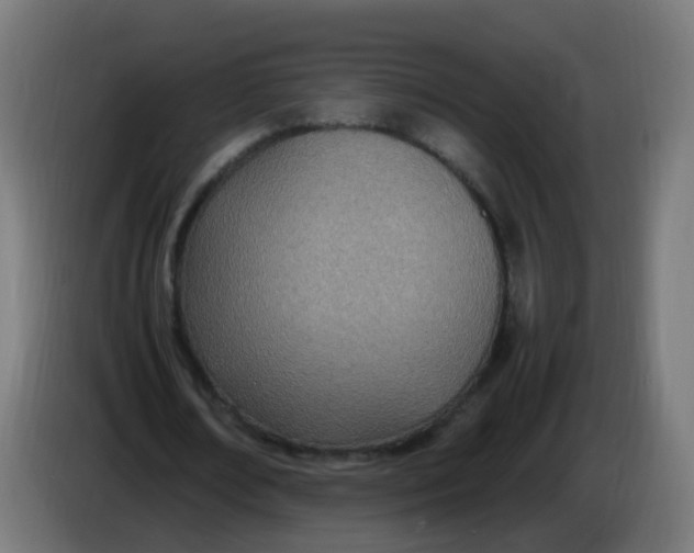 X0000086110674200704132210