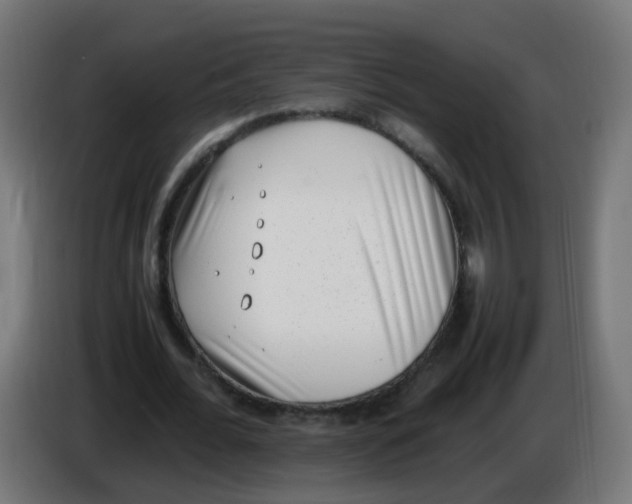 X0000086110676200704132210