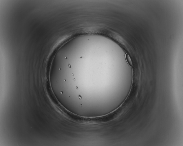 X0000086110677200704132209