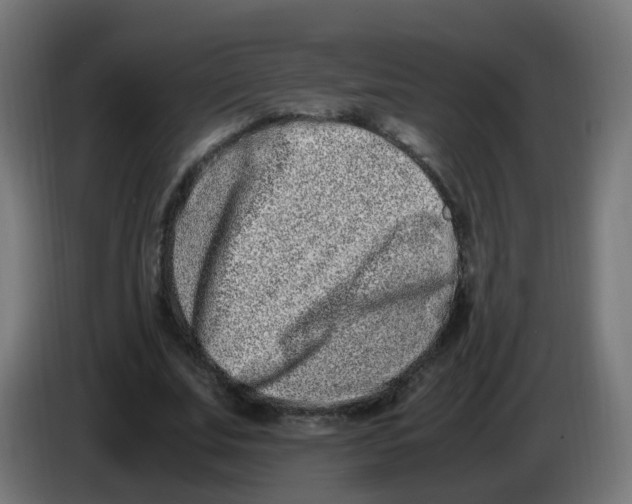 X0000086110679200704132209