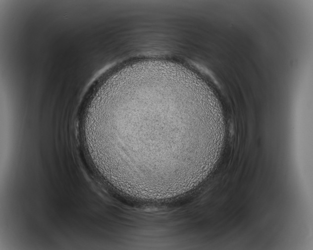 X0000086110684200704132209