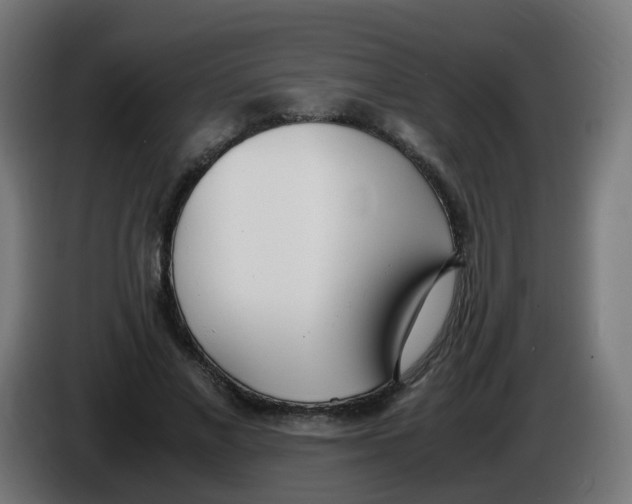 X0000086110685200704132209