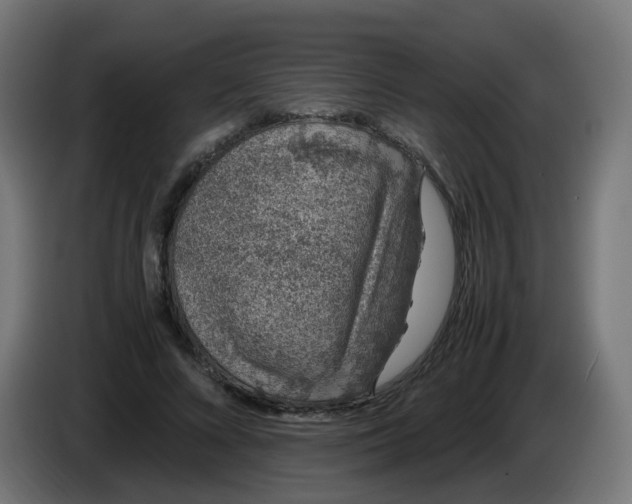 X0000086110688200704132209