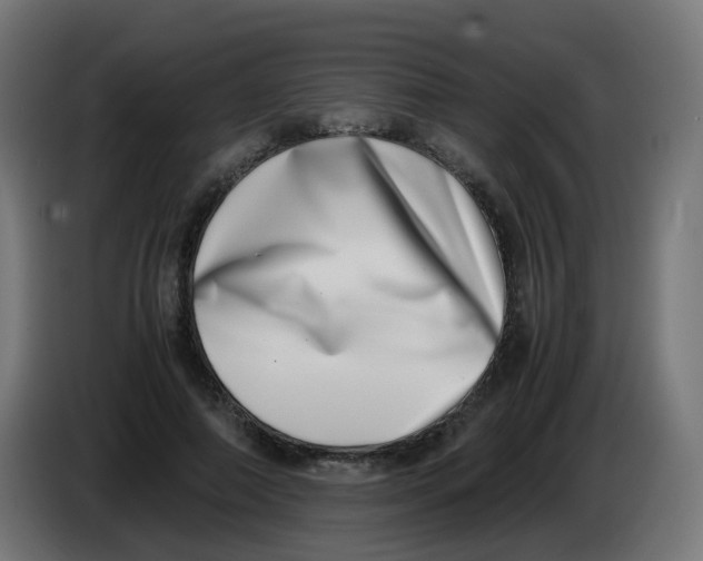 X0000086110690200704132209