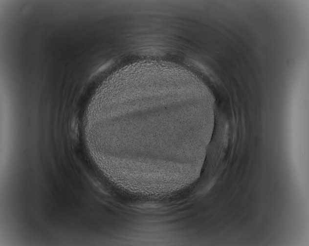 X0000086110692200704132209