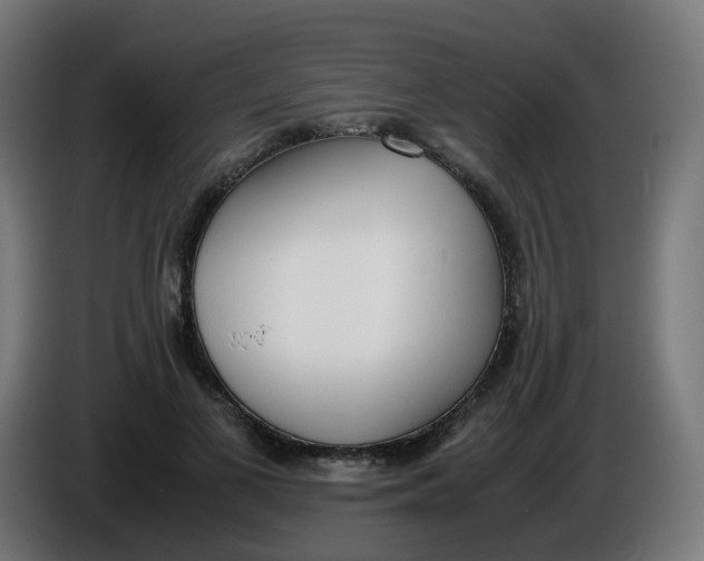 X0000086110693200704132209