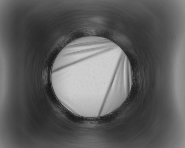 X0000086110694200704132209