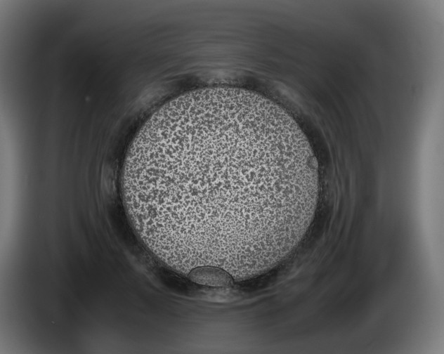 X0000086110695200704132209