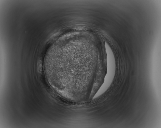 X0000086110696200704132209