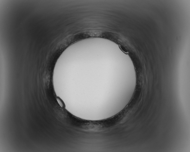 X0000086110697200704132209