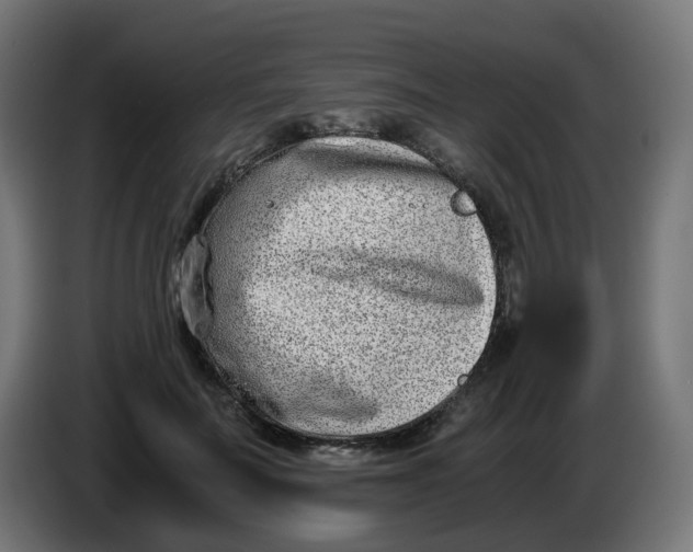 X0000086110699200704132209