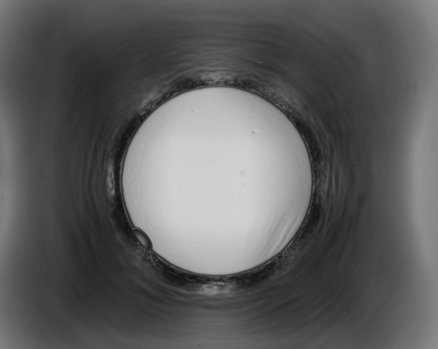 X0000086110700200704132209