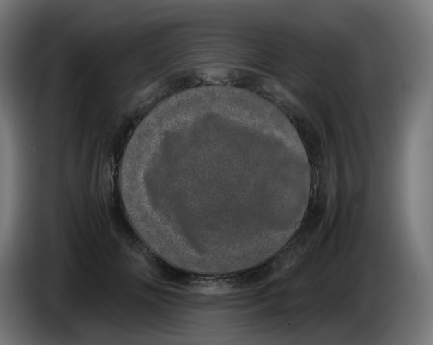 X0000086110702200704132209