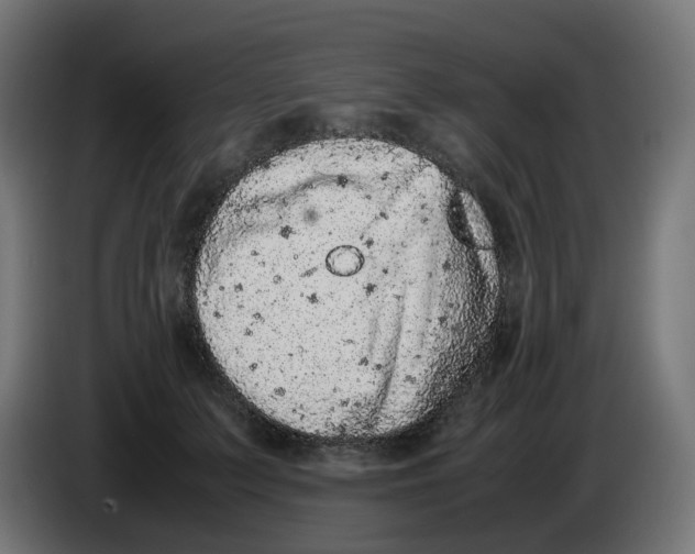 X0000086110703200704132209