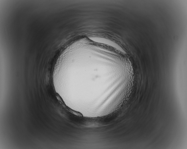 X0000086110704200704132209