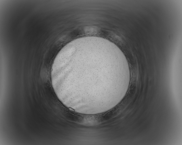 X0000086110705200704132209