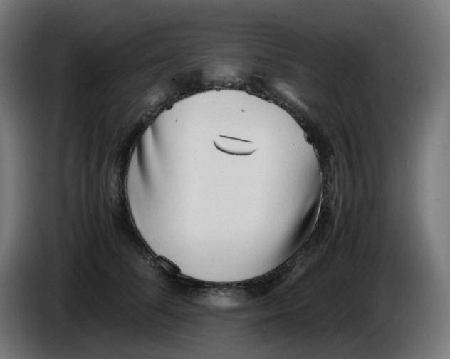 X0000086110708200704132209