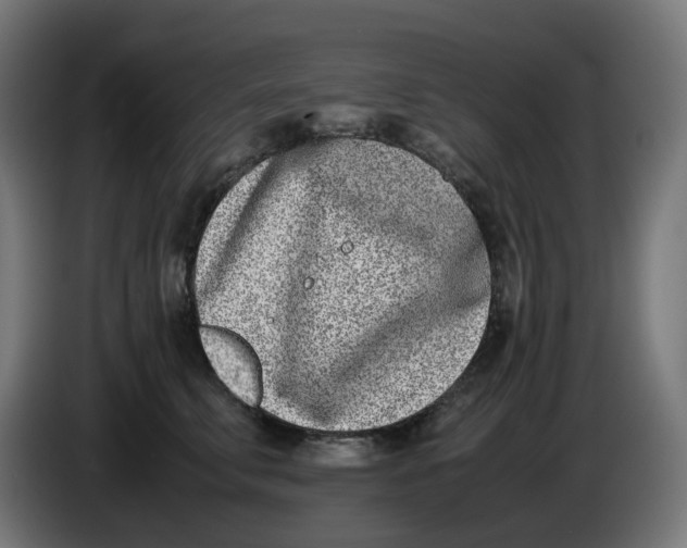 X0000086110711200704132209